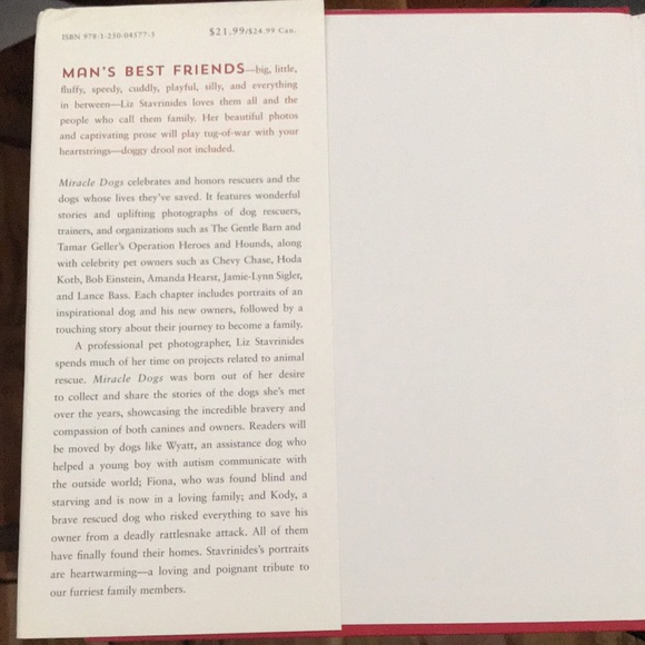 Miracle Dogs Rescue Stories - Picture 3 of 4